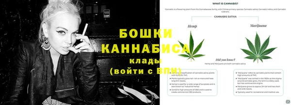 ешки Горняк