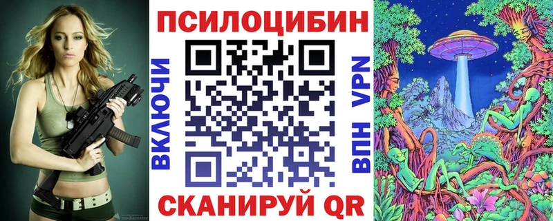 Галлюциногенные грибы Psilocybine cubensis  Купить закладки  Североморск 